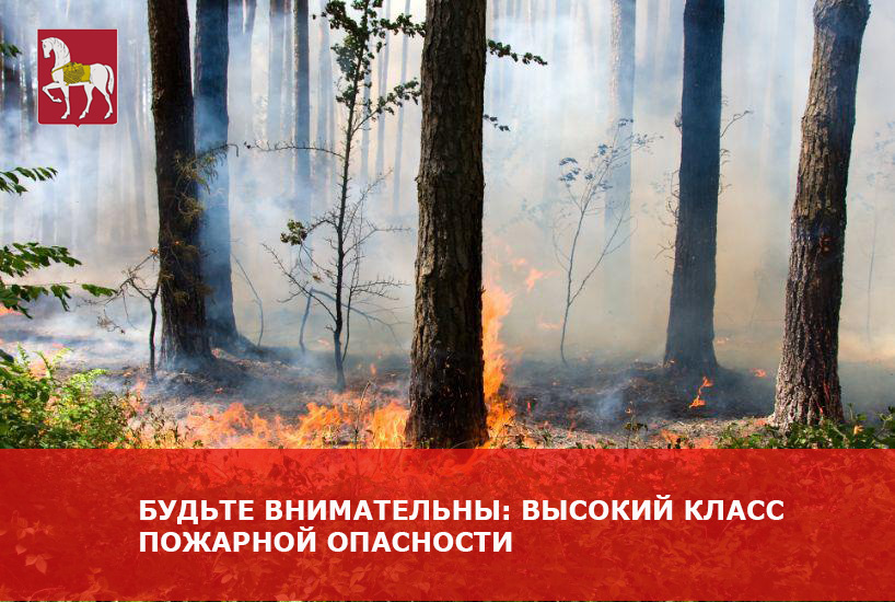 Внимание!!! С 24 июля 2025 года на территории Коношского муниципального района введен 5 класс пожарной опасности!.