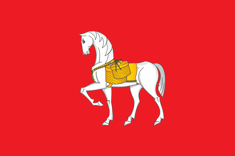 Флаг Коношского района.