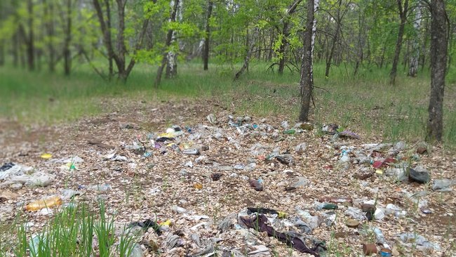По иску прокурора Коношского района суд обязал Министерство природных ресурсов и лесопромышленного комплекса очистить участки лесного фонда от несанкционированных свалок отходов. По иску прокурора Коношского района суд обязал Министерство природных ресурсов и лесопромышленного комплекса очистить участки лесного фонда от несанкционированных свалок отходов.